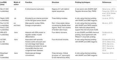 Corrigendum: Long Non-coding RNA Structure and Function: Is There a Link?